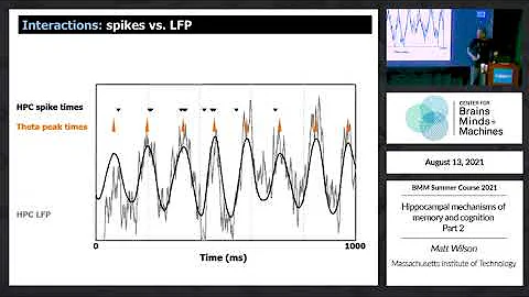 Hippocampal mechanisms of memory and cognition: Part 2