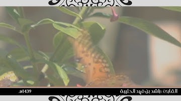 تلاوة آسرة وترتيل مميز هادئ لماتيسر من سورة الأحزاب ؛ القارئ راشد الحليبة