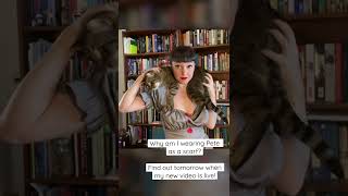 Wearing my cat to make a grammatical point!? Information