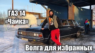 ЧАЙКА - ВОЛГА ДЛЯ ИЗБРАННЫХ! 😎