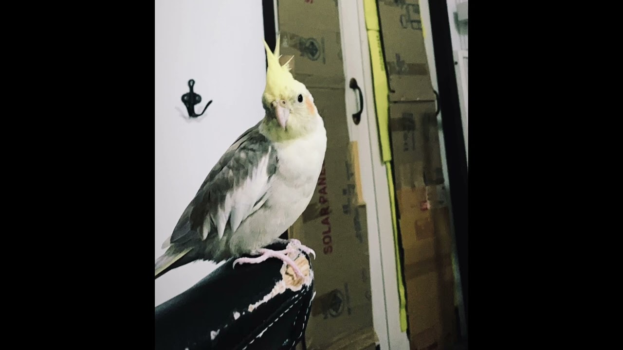 Baskara - ฉันไม่รู้เลย Feat. CNT, YUCKY G