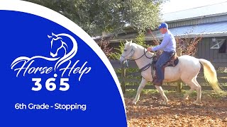 6th Grade - Stopping | Horse Help - Michael Gascon