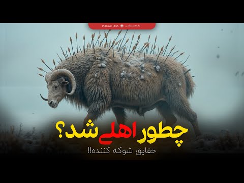 The Amazing Story of Sheep Domestication in the Stone Age!