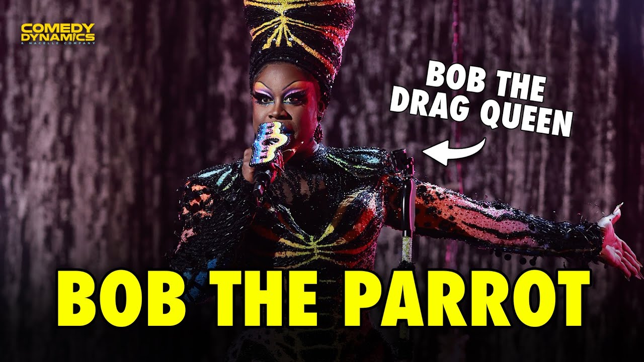 Bob the Parrot | Bob the Drag Queen: This is Wild