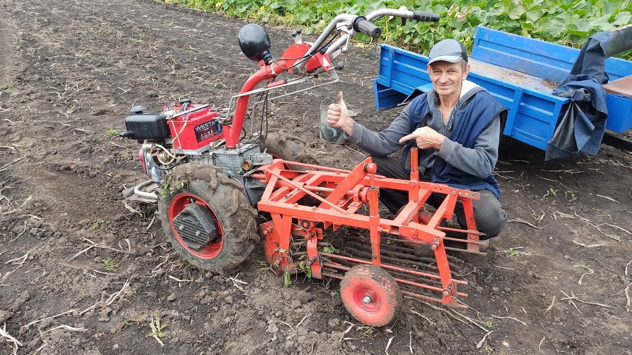 Копка картофеля мотоблоком Мотор Сич.Сезон 2025.