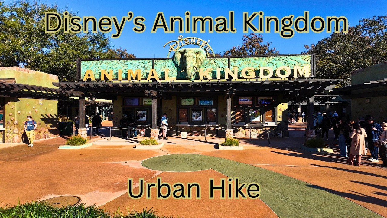 Disney's Animal Kingdom | Urban Hike | 4K Walking Tour