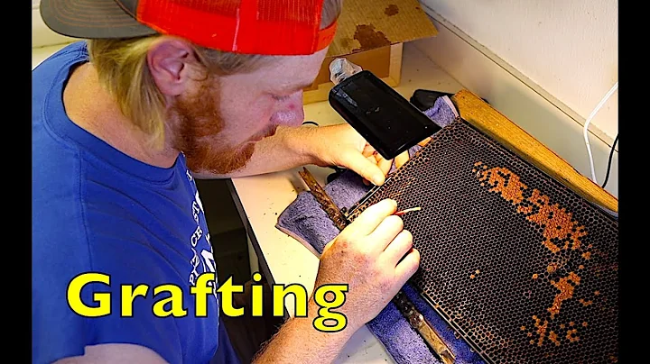 Florida Beekeepers Part 3: Queen Production with C...