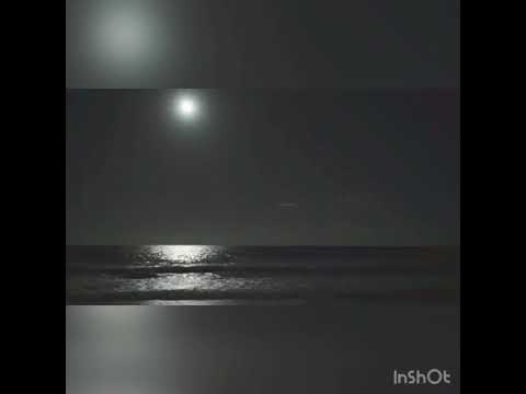 الى هنا و تنتهي رولا قادري