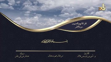 الجزء التاسع والعشرون من القرآن الكريم || رواية هشام عن ابن عامر || المقرئ: د.أمين إدريس فلاته