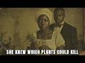 Annie Turner: The Mississippi Slave Whose Forbidden Plant Knowledge Terrified Plantation Owners
