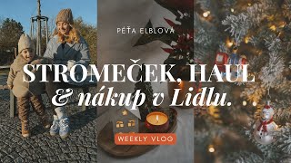 VLOG // Vánoční výzdoba, haul oblečení & nákup z Lidlu.