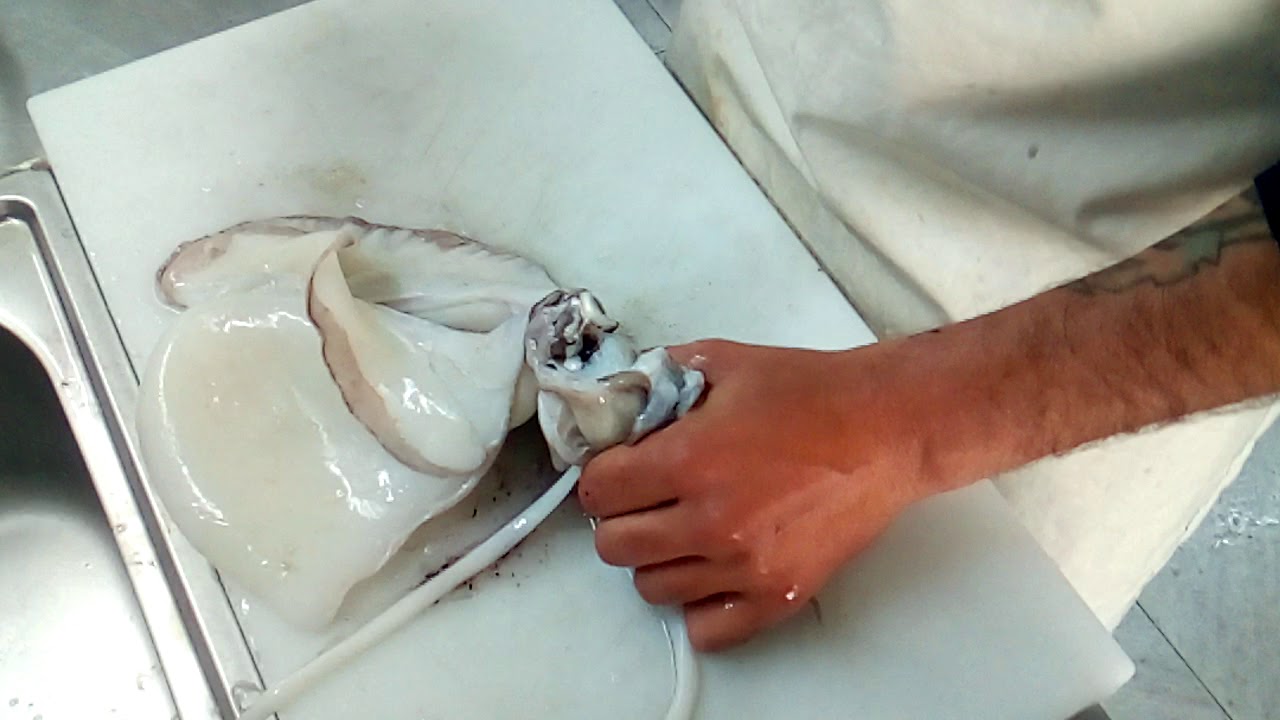 Como limpiar el choco o sepia fresca