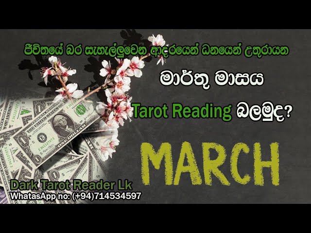 ආදරයෙන් ධනයෙන් උතුරන මාර්තු මාසය ටැරොට් ඇසින් |Sinhala|#tarotcardreadingsinhala class=