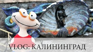 VLOG: КАЛИНИНГРАД