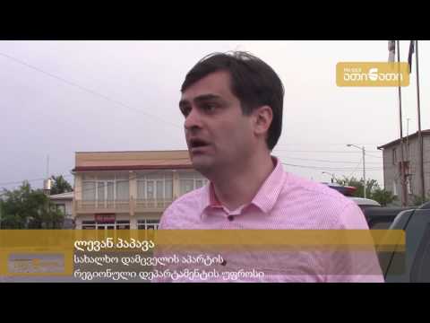 ლევან პაპავა მიქავაზე: დაკავებულს სახალხო დამცველის საქმეში ჩართვა არ სურს