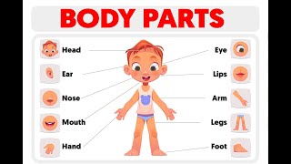 Body parts are named in English. English vocabulary