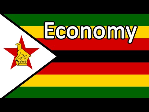 Zimbabwe&rsquo;s Economy (2021)