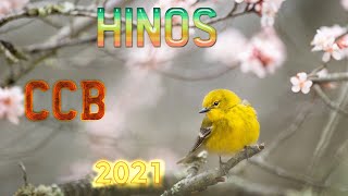 Hinos CCB 2020   As Músicas De Hino Mais Incríveis Sobre O Senhor