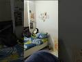 Hostel room 🎀 #india #trending #trendingshorts #hostellife #room #roomtour #alone