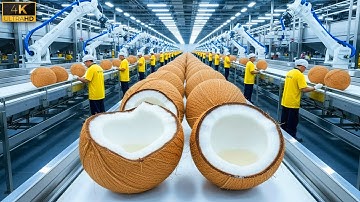 Inside the Coconut Processing Factory: From Whole Coconuts to Milk, Oil, Sugar | Full Process