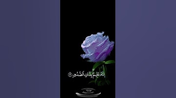 صباح الخير💜اجمل حالات واتس اب مقاطع قصيره💜قران كريم سورة الملك وأسروا قوالكم او اجهروا به💜بدون حقوق
