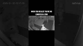WHEN YOUR TODDLER MOVES FROM A CRIB TO A TODDLER BED! #funnytoddlers #toddleractivities #fyp