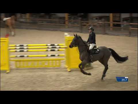 Something Else d’Esprit CSIYH 7/8 yo Lier