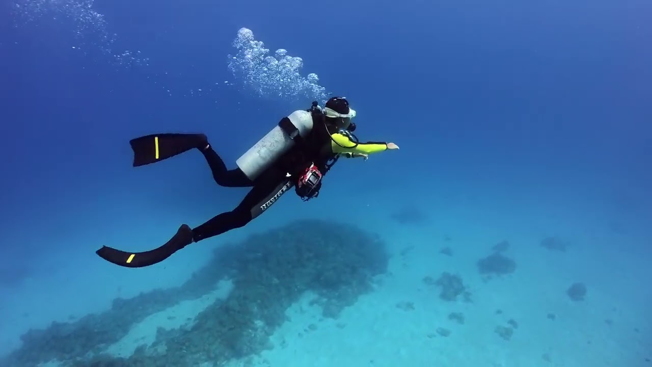 シーサーが提案！水中スクーターでラクして続けるダイビング｜沖縄