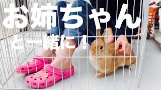 ウサギとのスキンシップが嬉しいお姉ちゃん #646