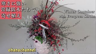 寒さに強い寄せ植え 常緑低木を楽しむ Winter Container With Evergreen Shrubs Youtube