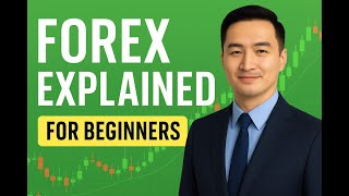 Forex Trading Myths Busted Dont Fall For These Lies