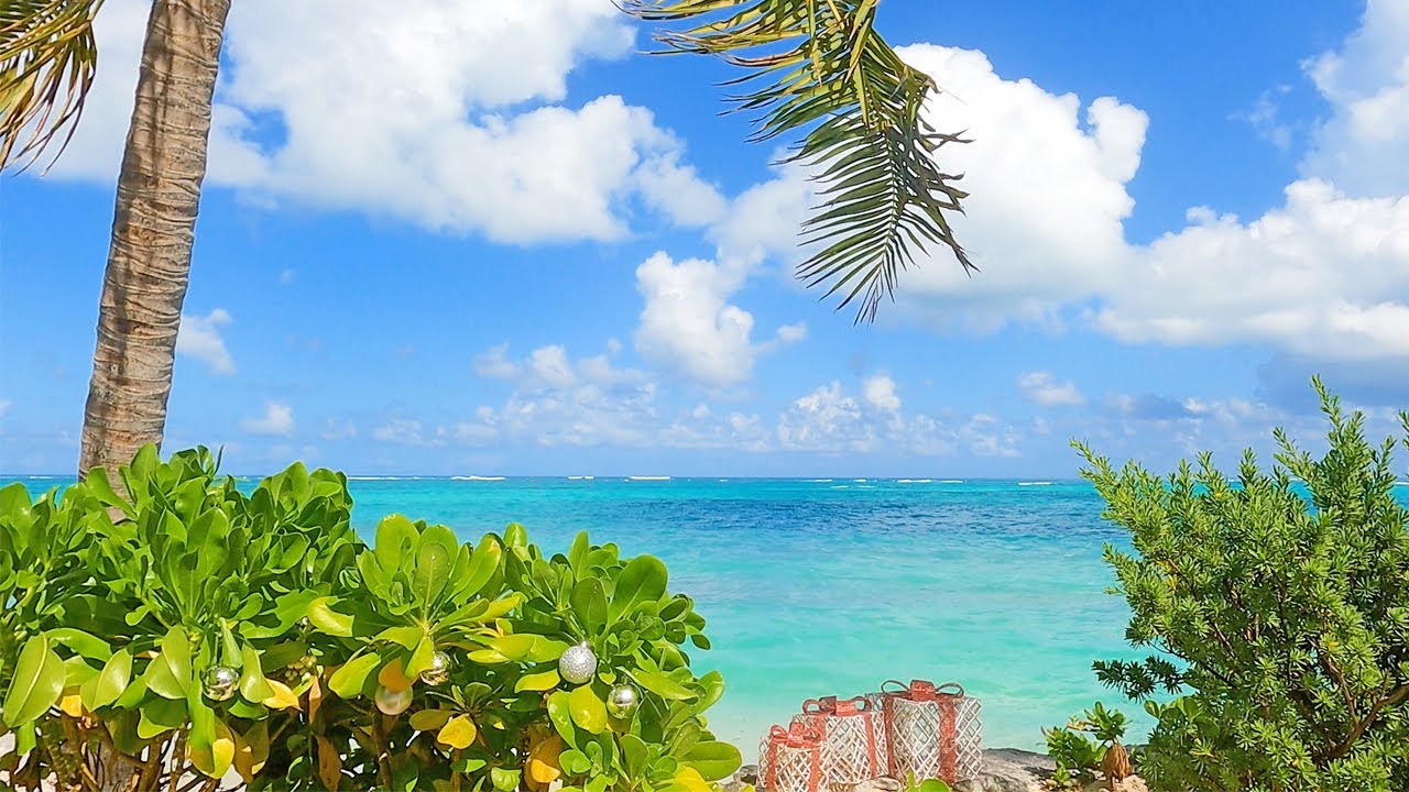 Deck The Palms: 3 Hours of Tropical Christmas Ambience