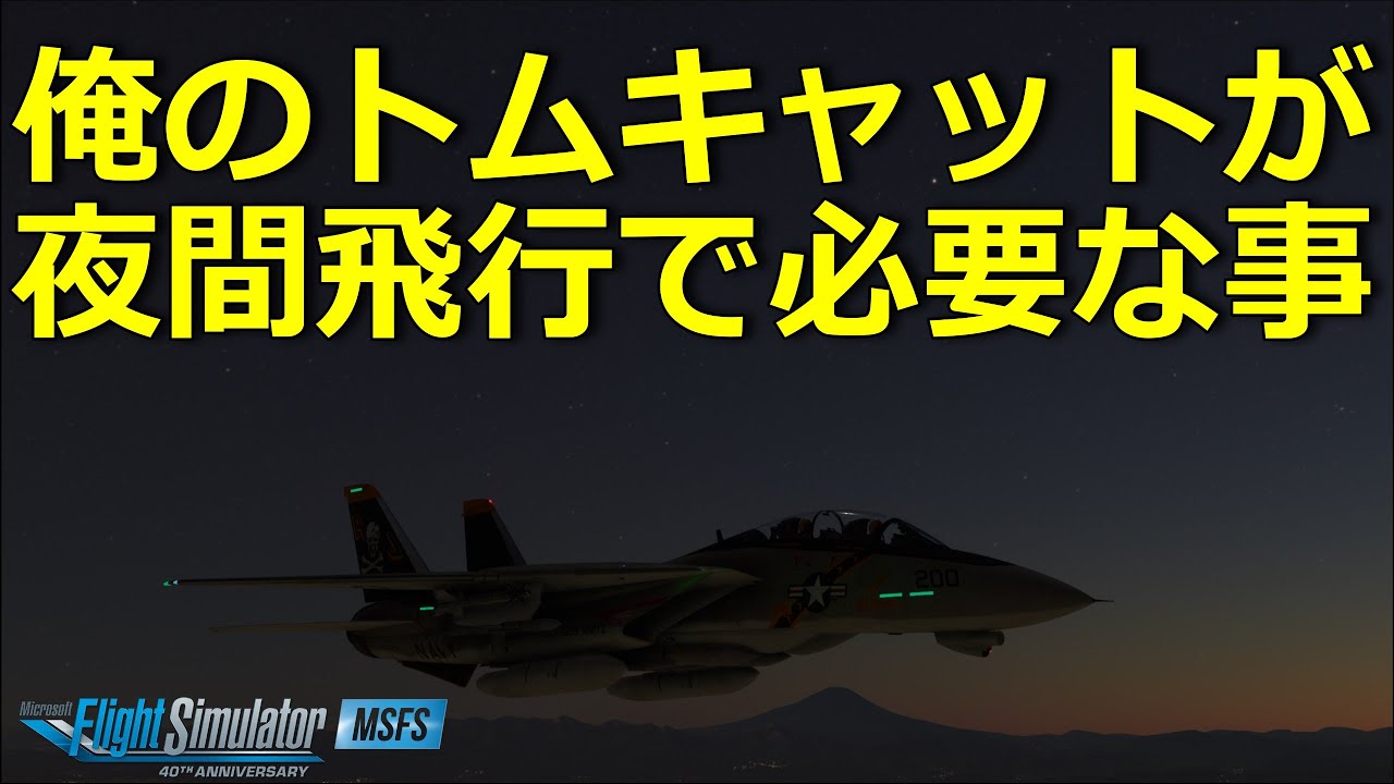 俺のF-14トムキャットが夜間飛行で必要な事 | Heatblur