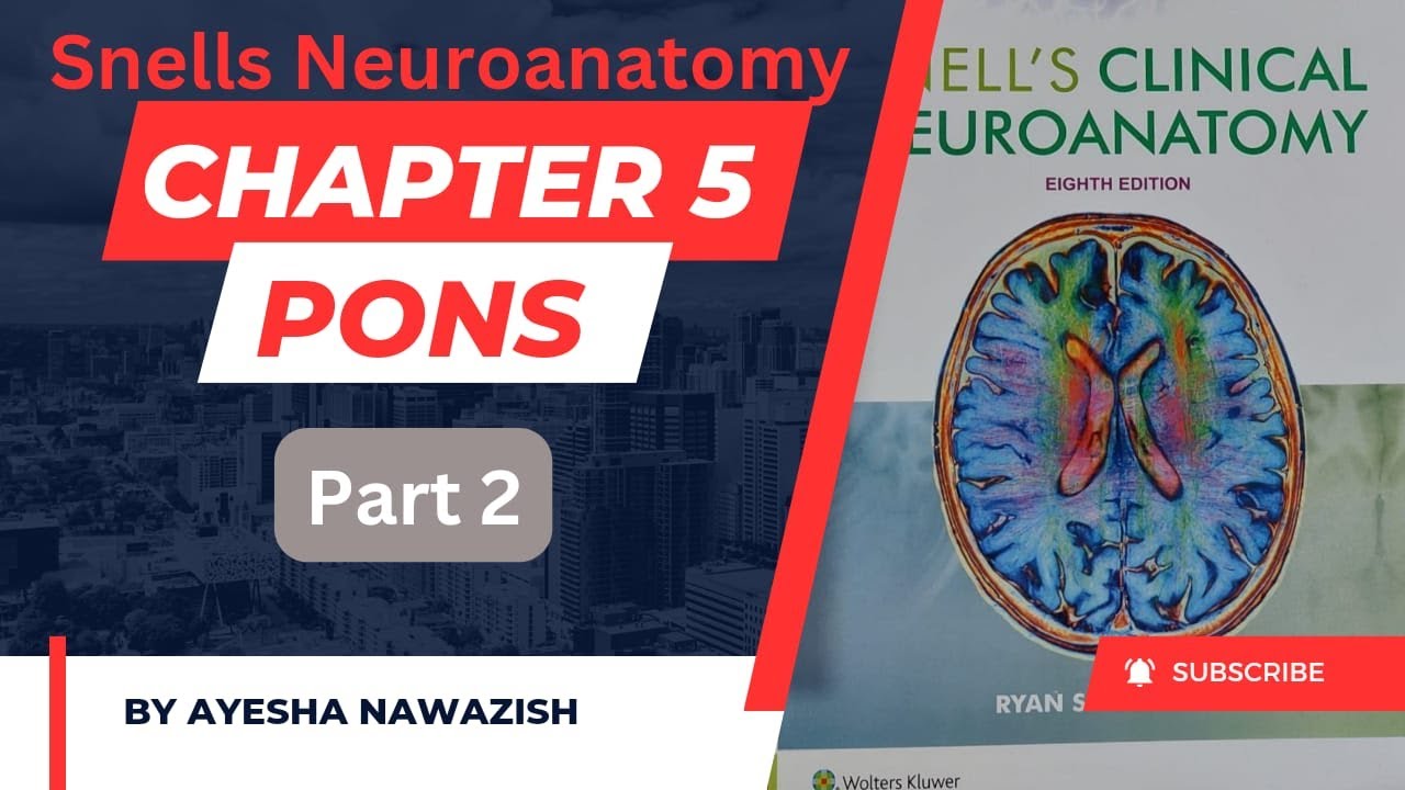 Pons I Chapter 5 Snells Neuroanatomy I part 2 | Dr najeeb lecture ...