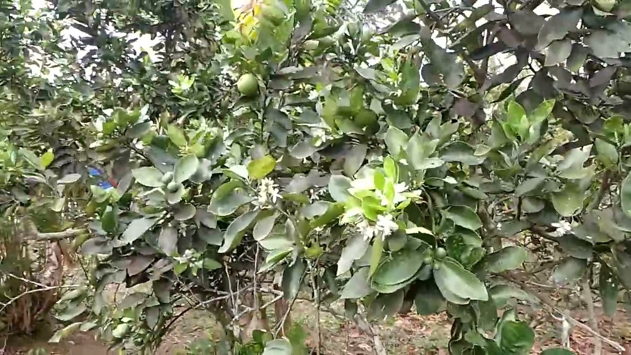 isso eu chamo de riqueza