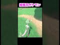 【ポケモンSV 】最高の捕獲要員キノガッサの作り方と注意点紹介します！おすすめキノココの出現場所#Shorts【「みねうち」「キノコのほうし」修得方法】