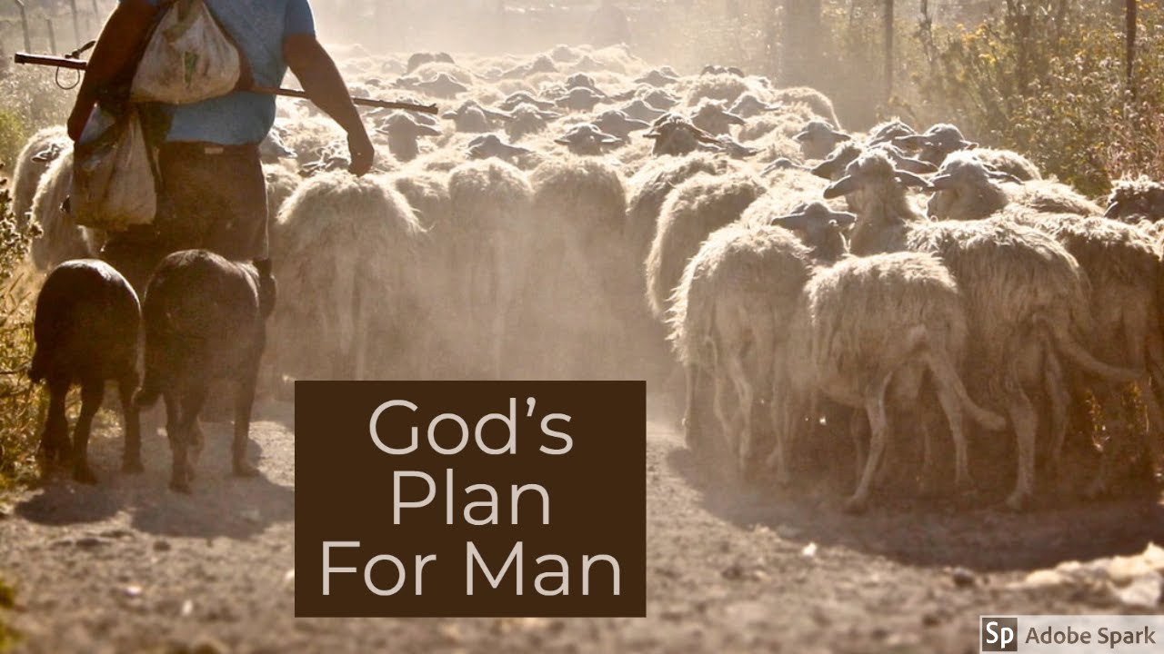 pastor-james-green-2-23-20-gods-plan-for-man-2-chronicles-15-1-8-youtube