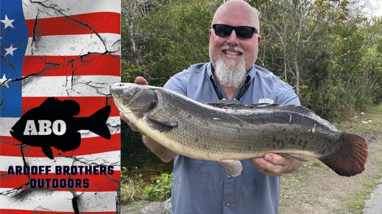 ABO | Florida Everglades Loop Road Tons of Fish and Gators...One Came After US!