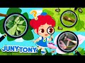 Insectos Escondidos | Camuflaje de Insectos | Canciones Infantiles | JunyTony en español