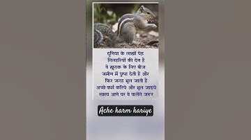 सत्य वचन"Jay shree Krishna"Motivational quotes Suvichar #ytstudio  #shorts