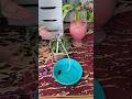 Forget Watering Your Garden 🏡 - Smart Irrigation System