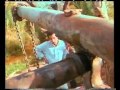   1970 الجزء الاول الواحات البحريه قديما