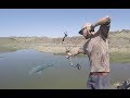 Pesca Con ARCO Y Flecha Parte 2 | Caza Y Pesca