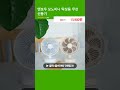 엔보우 모노미니 탁상용 무선 선풍기
