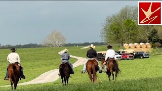 Ozark Cowboys: Real Cattle, Real Cowboys, Real Work 2024