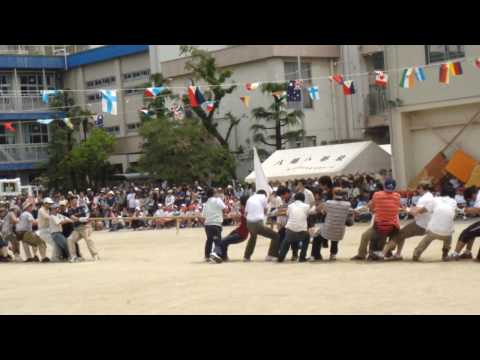 孫の運動会（父兄の綱引き）