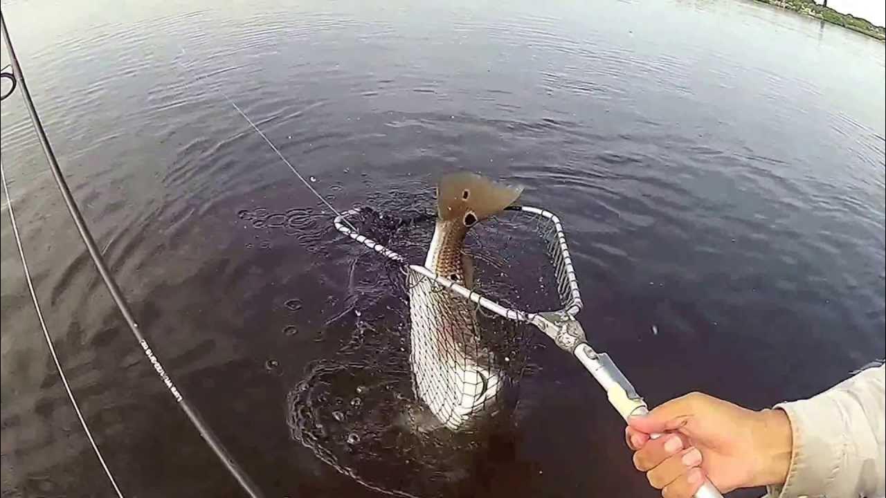 Kayak Fishing, Stuart, FL Indian River Treat YouTube