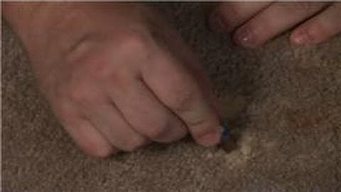 Carpet Cleaning : Household Tips for Removal of Bleach Stains from a Carpet