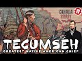 Tecumseh and the Native American Resistance