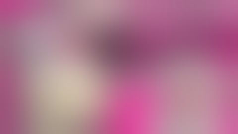 Photos & Frames in Canva Part 2 #canvatutorial #canvagraphics #canvaeducation